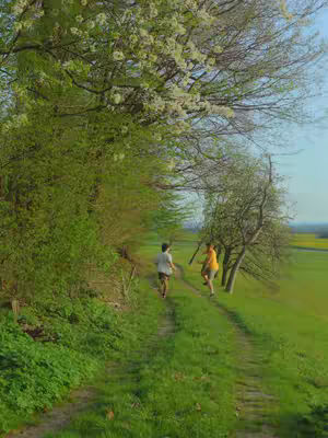Two people run down a grassy path towards the viewer. The path is lined on the left by lush green foliage and the right by trees with sparse blooms. A field stretches out in the distance under a clear blue sky.