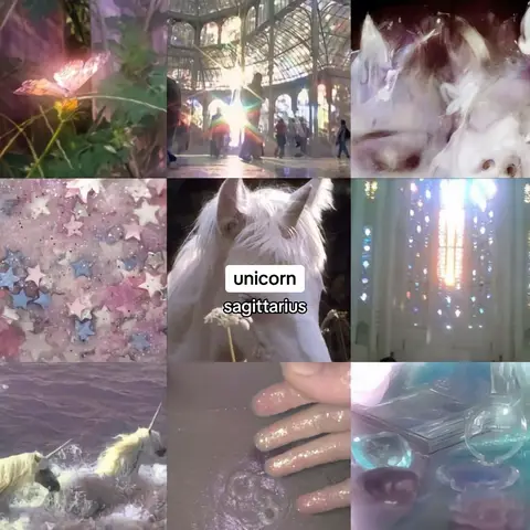 A collage-style image featuring nine distinct panels. The top left shows a butterfly, the top center a sunlit hall, and the top right a blurry, ethereal scene. The center left features star-shaped confetti, the center a unicorn, marked with 'unicorn sagittarius', and the center right a stained-glass window. The bottom row includes images of unicorns in the water, hands with sparkles, and crystals.