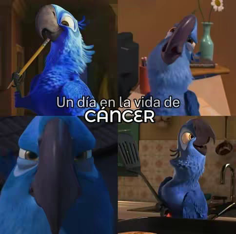 A four-panel image from a cartoon, showing a blue bird parrot in different settings and poses, with text overlaid.