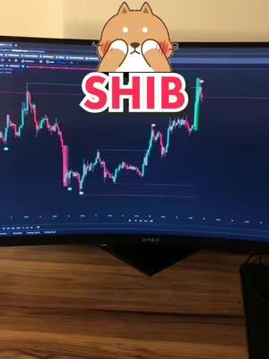 A computer monitor displaying a stock chart with a Shiba Inu sticker overlayed.