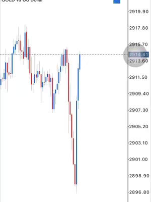 The image displays a financial chart, likely representing the price movement of GOLD vs. US Dollar. It shows a series of red and blue bars, indicating price fluctuations over time. A horizontal line with the value 2914.41 intersects the chart, with a circle highlighting this value in the margin. The background is a clean white, with the chart taking up most of the space. The right side has a vertical scale with numbers, suggesting price levels, and the top left corner indicates the asset pair.