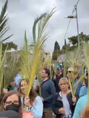 A crowd of people walking, holding palm fronds, likely at a procession. It is an overcast day, and buildings line the sides of the street. Many people are visible with various attire and eye wear. A person is wearing a black mask.