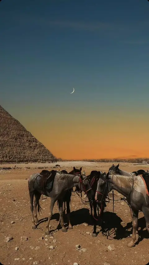 The image showcases a desert landscape during the golden hour. The foreground features four horses standing, saddled, and tethered. Behind them, a large pyramid rises on the left side. The sky transitions from a deep blue at the top to a warm orange and yellow, with a crescent moon visible. The overall composition creates a sense of tranquility and historical context.