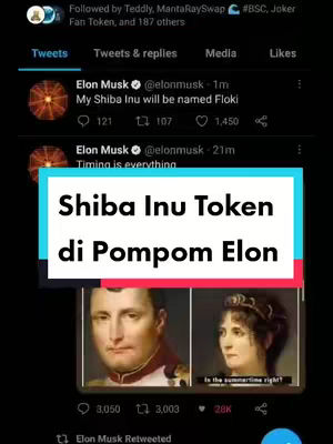 The cover image displays a screenshot of Twitter with posts from Elon Musk. A text overlay highlights "Shiba Inu Token di Pompom Elon" which translates to "Shiba Inu Token in Elon's Pompom". Below, it features images of Napoleon and a woman, along with Twitter engagement metrics.