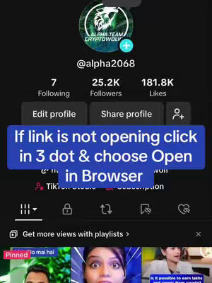 The cover image is a screenshot of a TikTok profile. It shows the profile picture at the top, with the username and follower/following/like counts visible underneath. A blue bar with white text about opening the link in a browser covers a portion of the profile. The bottom of the screen shows a preview of video thumbnails, and a navigation bar.