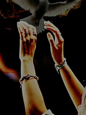 The image features a low-angle shot of hands outstretched in prayer or worship, silhouetted against a dark background. A dove descends from above, positioned above the hands. The lighting creates a dramatic effect, with the hands and dove highlighted. The overall composition suggests themes of faith, spirituality, and divine connection.