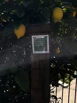 A vertical shot of a wooden post within lush foliage. Two vibrant yellow lemons hang from branches on either side, with the focus on a paper sign affixed to the post. The sign displays a heartfelt message, adding a personal touch to the organic, natural scene.