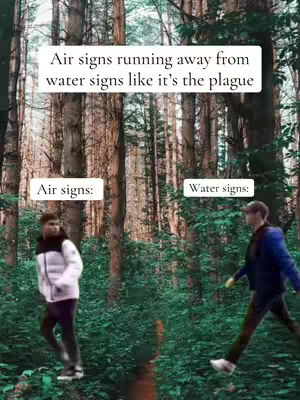 Two people are walking in a wooded area with tall trees. White text boxes with captions are overlaid on the image.