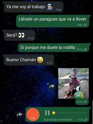 The image is a screenshot of a WhatsApp conversation with a blurred background, featuring text bubbles, timestamps, and a small image of a dog. The main colors are green (for the text bubbles), black (for the text and some background elements), and shades of blue and white in the background creating a starry night aesthetic. The layout is vertical, with the conversation structured from top to bottom. The dog image, positioned to the right, portrays the dog dressed in a traditional attire, with a watermelon.