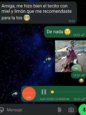 A screenshot of a WhatsApp chat featuring a message exchange, a dog's image, and a voice message player. The background is a dark blue space with stars. A screenshot shows a WhatsApp conversation with the message 'Amiga, me hizo bien el tecito con miel y limón que me recomendaste para la tos', accompanied by the emoji with smiling face. The response 'De nada' and a smiling emoji are added. On the right, there is an image of a dog dressed in traditional Andean clothing with a watermelon in front of him. Below the chat, there is a voice message control panel with a red progress dot, play/pause button and the text '0:03'. The message button, the camera button, and the microphone button are placed below the screen. The chat is surrounded by a glittery night sky.