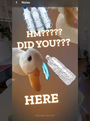 The image is a collage featuring a white duck with a yellow beak, water bottles, and text overlays. The duck is positioned in the center-left with one eye visible and a water bottle with water dripping down. The words "HM?????" and "DID YOU???" are written in white, outlined with a darker color. Below it, the word "HERE" is superimposed on a brown background with what appears to be notes in the corner. The background is a mix of colors, suggesting a layered digital art style.