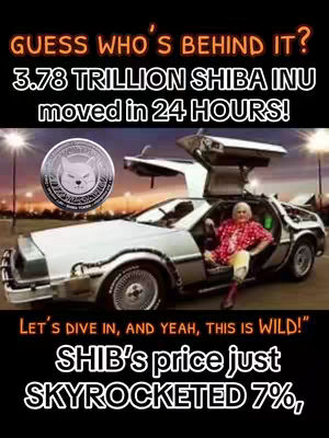 The image features a DeLorean car, with an open door and a person dressed in red and white sitting inside. To the left of the car, there is a large coin with a Shiba Inu dog logo. The text overlay includes information about Shiba Inu cryptocurrency.
