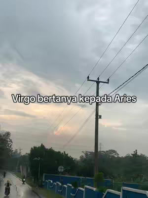 An overcast day scene with a cloudy sky, a glimpse of a sunset, power lines, a road, and foliage. A person on a scooter is visible in the distance.