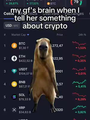 The image is a screenshot of a crypto trading app interface. Overlayed on the image is text, with a drawing of a capybara, centered on the screen. The app display shows crypto market data, including coin names (BTC, ETH, USDT, BNB, SOL, XRP), market caps, and price changes. The background is a dark blue.