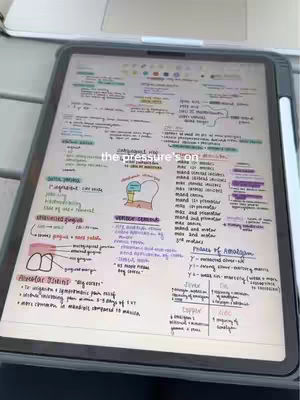 The cover image shows an iPad displaying handwritten notes related to dental studies. The screen is filled with text, diagrams, and color-coded annotations.  The iPad rests on a light-colored surface, possibly a desk. A portion of a silver laptop is visible in the background showing more context for the setting.