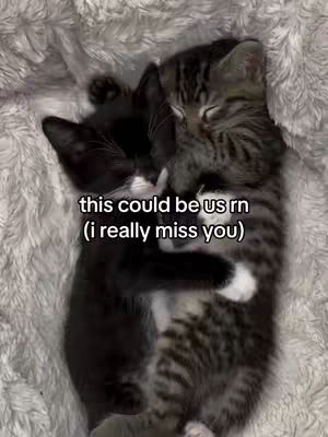 Two kittens cuddling on a soft, white blanket. One kitten is black and white, while the other is a tabby with gray and black stripes. Text overlayed on the image reads, "this could be us rn (i really miss you)". The overall color palette is soft and gentle.