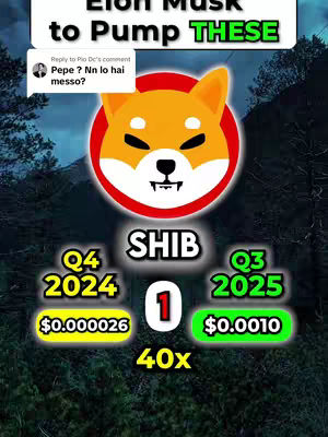 The image is a vertical graphic with a dark, blurred background suggesting a mountain range at twilight. The focal point is a large circular graphic featuring the Shiba Inu dog, the symbol of the SHIB coin, set against a red backdrop. Beneath the Shiba Inu logo, in large white letters, is the word 'SHIB'. Below this, there are price predictions for Q4 2024 and Q3 2025, with an indication of a 40x increase. At the top is the text 'Elon Musk to Pump THESE'. In the top left corner is a comment box displaying a reply message.