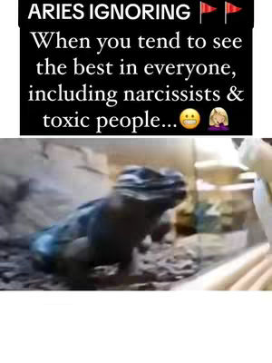 The image is a meme-style graphic with text overlayed on the top and with a lizard in the bottom. The text is black and white and it is set on a black rectangle background. The text is about Aries ignoring. The bottom part of the image is a lizard in a habitat.