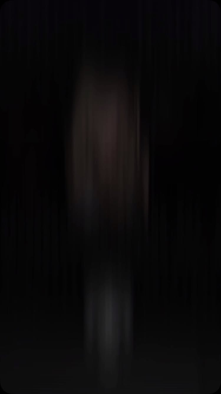 The cover image is a blurred vertical composition. The background is entirely black, providing a stark contrast. A central, elongated shape is discernible, appearing in shades of gray and brown, with indistinct details, suggesting a figure possibly. The blurred effect contributes to a mysterious or abstract atmosphere.