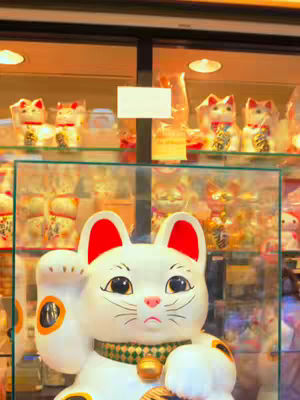 A white, smiling Maneki-neko cat statue with a raised left paw is the main subject. It has a red collar, red ears, and round black eyes, and sits behind a glass display. The background includes a shelf of similar cat figurines and various items, suggesting a shop or display. The overall composition is well-lit and colorful, emphasizing the Japanese theme.