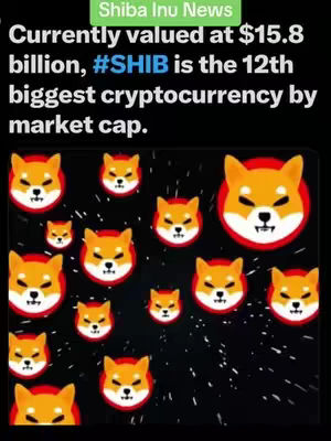 The image features a dark background filled with numerous Shiba Inu dog illustrations. A banner at the top-center reads 'Shiba Inu News', while text states the current valuation and market ranking of the #SHIB cryptocurrency.