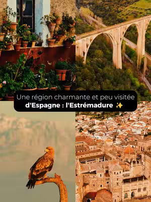 A collage of four images: at the top left, a building facade with potted plants in various sizes of pots, at the top right, an arched bridge over a valley of green trees, at the bottom left, an eagle perched on the branch of a tree and at the bottom right, a top-down shot of a village with orange roofs. The images are overlaid with black text on a transparent rectangle.