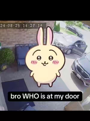 The image captures a security camera view. In the foreground, an animated cartoon rabbit character with rosy cheeks and a smiling expression is superimposed. Below the character, a black text box reads, 'bro WHO is at my door'. In the background, a driveway is visible with cars parked. There are shrubs and a brick wall.