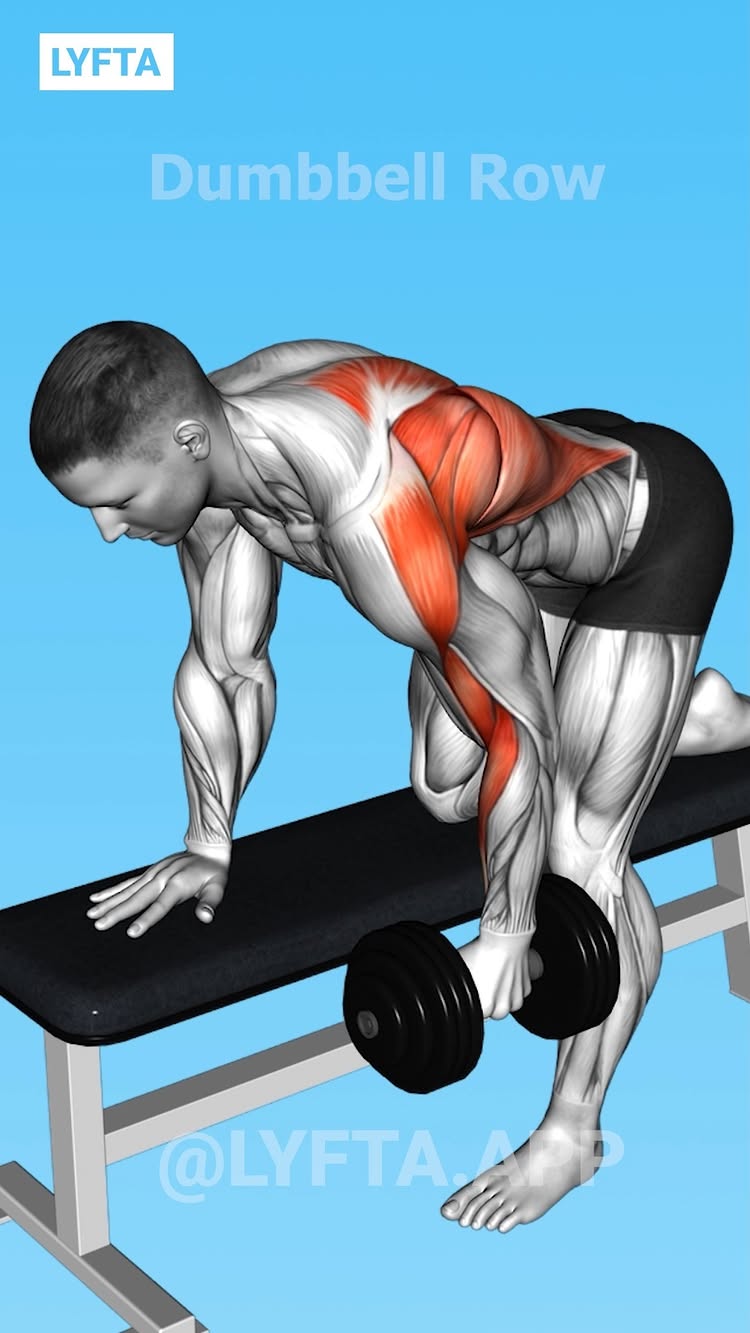 A digital illustration of a man performing a dumbbell row exercise. The man is in a bent-over position, with one hand on a bench for support and the other holding a dumbbell. Muscles are highlighted in red indicating the engaged muscles. The background is a solid light blue.