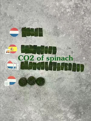 The cover image is a visual representation of CO2 emissions from spinach production and transport. It is laid out on a gray background. There are three bars of green spinach arranged vertically, with varying lengths to represent CO2 levels. The bars are positioned relative to flags and icons symbolizing production methods and origins: the Dutch flag, the Spanish flag with a truck, and a graphic of a greenhouse. Below these are 3 bundles of frozen spinach.