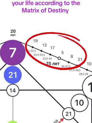 The cover image is a diagram with nodes connected by lines and numbers in circles. The top part of the image reads, 'your life according to the Matrix of Destiny.' Numbers and lines are overlayed with boxes and indicators in red. The overall composition appears technical and diagrammatic.