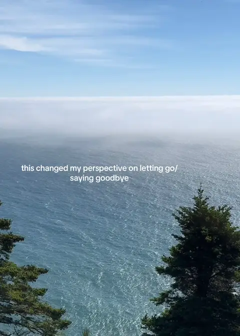 A serene landscape view of the ocean merging with the horizon under a clear blue sky. In the foreground, the silhouette of evergreen trees adds a touch of natural framing. The scene evokes a feeling of vastness and tranquility.