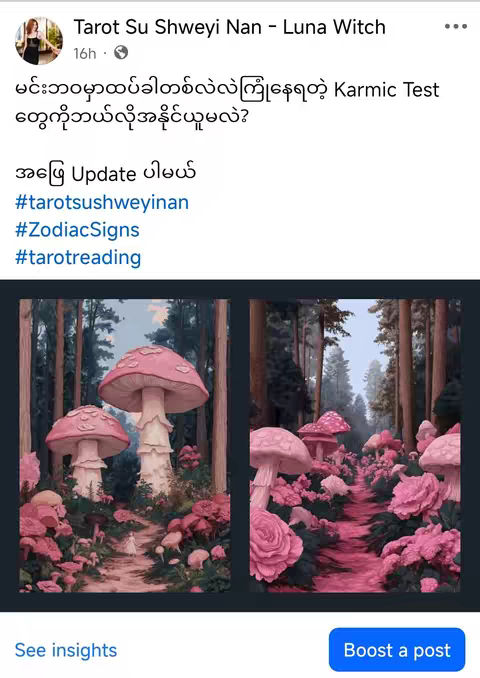 The cover image features three panels each showing a fantastical landscape with pink mushrooms and floral elements. The first panel displays large mushrooms with dense foliage and a path. The second panel shows more mushrooms, rose bushes and a path running into a wooded scene. The third panel shows more mushrooms, and a path. Text overlays indicating updates and hashtags. The image has a whimsical quality with a soft color palette dominated by pinks, greens, and blues.