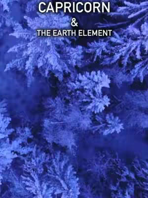 The image shows a top-down view of a forest covered in snow or frost. The trees appear as white or light-blue shapes against a deeper blue background, giving the scene a cold, slightly surreal quality. Text overlays are added in the upper portion of the image.