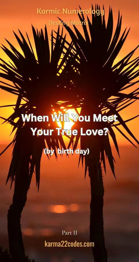 The cover image features a silhouetted view of palm fronds framing a vibrant sunset. The sky transitions from shades of orange to yellow, with the sun positioned behind the fronds, creating a dramatic and warm backdrop.