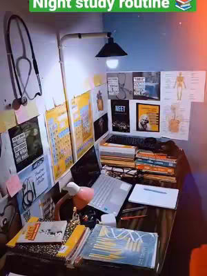 The cover image shows a study desk with a variety of items, hinting at a study routine. There are books, notes, a laptop, a lamp, and posters on the wall. The color palette is dominated by cool tones, with a touch of warm light from the lamp and a pink accessory. The layout is organized, with items neatly arranged on the desk and wall.