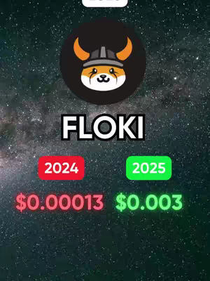 The image features a dark starry background. A circular logo of a dog wearing a viking helmet is centrally positioned. Below that, the word 'FLOKI' is written in bold, white, sans-serif font. Two rectangular boxes below show price predictions: one in red marked '2024' with '$0.000013' and another in green marked '2025' with '$0.003'.