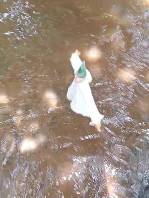 The cover image shows a person wading in a shallow stream. The person, viewed from above, is wearing a white robe and a green hat and is walking in the water with arms outstretched. The water is brown with some reflections suggesting sunlight.