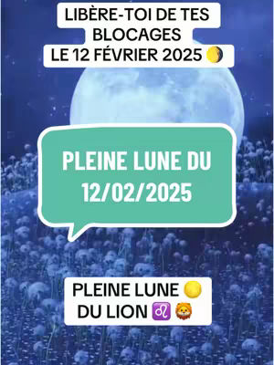The image is a graphic design featuring text overlays on a blurred background of soft white flowers. The central element is a large, round, light blue shape with the words "PLEINE LUNE DU 12/02/2025" in large, teal text. At the top, there is a white banner that says "LIBÈRE-TOI DE TES BLOCAGES LE 12 FÉVRIER 2025." Below the main shape is another rectangular banner that reads "PLEINE LUNE DU LION" with a lion symbol. The colors are muted and pastel-like, with a focus on blue and white.