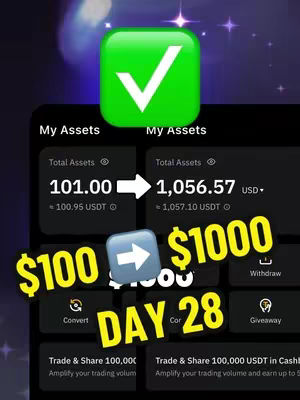 The cover image is showcasing a screenshot of a crypto asset tracking app. It highlights a successful trade, showing an increase from $100 to over $1000 in 28 days. The layout is clean with a black background and white and yellow text overlays. A green checkmark icon and various buttons are visible, emphasizing the financial gain.