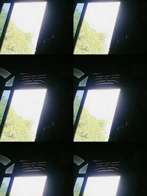 A multi-panel image showing a view through windows where daylight is visible. The image is divided into six squares, each showing a portion of a window frame against the bright light of the outside. Green trees are outside the window.