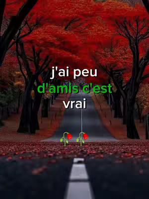 The cover image shows a road disappearing into the distance framed by autumn-colored trees. Text is overlaid on the image stating "j'ai peu d'amis c'est vrai", with a few stylized flowers at the bottom of the road.
