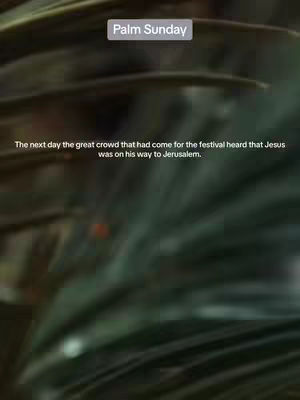 The cover image features a blurred background of green leaves suggesting palm branches. Text overlays include "Palm Sunday" in a box above a short biblical quote.