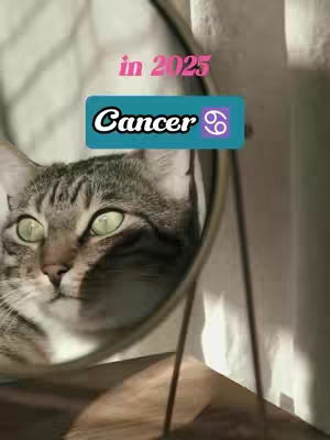 The cover image features a close-up view of a cat's face reflected in a mirror, with the phrase "Cancer in 2025" overlaid. The composition is warm and natural, utilizing soft lighting and muted tones.