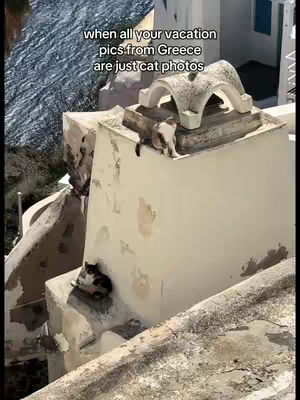 The cover image shows a bright, sunny scene in Greece, featuring a building with white walls and architectural details. Three cats are visible: one sitting on a ledge, another perched on top of a structure, and a third resting below. The composition is centered, with the text overlayed at the top emphasizing the cat-centric theme.