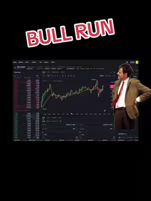 The cover image is a composite with a black background. A large chart showing a green and red graph is displayed on a screen in the center. To the right, Mr. Bean is looking at the chart. Above the screen in a light pink, the words BULL RUN appear.