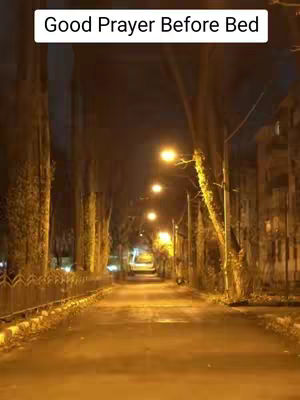 A nighttime street scene illuminated by streetlights. A paved road leads into the distance, flanked by tall trees on either side, creating a tunnel-like effect. Streetlights cast a warm glow, and a building’s facade is visible on the right, further in the distance.