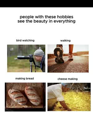 The image is a visually organized collage with a clean, white background. The top section features the text 'people with these hobbies see the beauty in everything' in a clean, sans-serif font. Below this, the image is divided into four equal squares, each showcasing a different hobby with a relevant image. The top-left square features bird watching, with a man looking into a camera. The top-right square shows walking, with a person wearing sneakers. The bottom-left square showcases making bread,with two loaves of bread. The bottom-right square represents cheese making, displaying a person working with a large quantity of cheese.