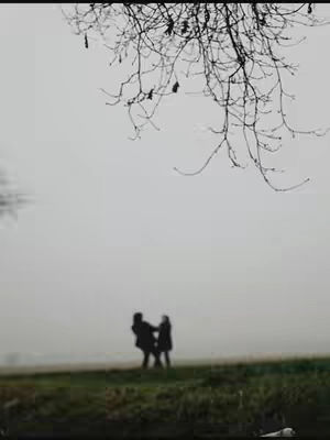 A silhouette of two people holding hands in a field. Bare tree branches are in the top of the frame. The sky is overcast and gray.