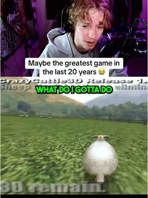 The cover image is a split view, with the creator in the upper portion and gameplay footage in the lower section. The creator, a young man with light-colored hair, is centered and framed from the chest up, appearing to react to something off-screen with a slight smile. Above, the text overlay reads, which appears to be related to games, in a white, sans-serif font over a black background. Below the creator's image is a gameplay screenshot from what looks like an older style game. This game segment shows a green grassy field with what looks like sheep and a large egg-shaped object that is floating on the ground. The text "WHAT DO I GOTTA DO" is also in a bright green font.