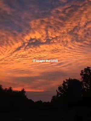 A vibrant sunset with orange and purple hues fills the sky. Silhouetted trees and foliage are visible at the bottom, and the text "[I sought the Lord]" is overlaid near the center.
